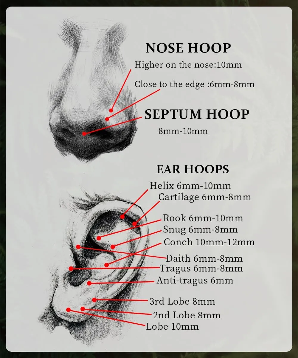14G 16G 18G 20G 316L Stainless Steel Hinged Nose Rings Hoop for Women Men Septum Clicker Hinged Segment Ring Cartilage Helix Tragus Earring Lip Rook Conch Hoop 6-14MM
