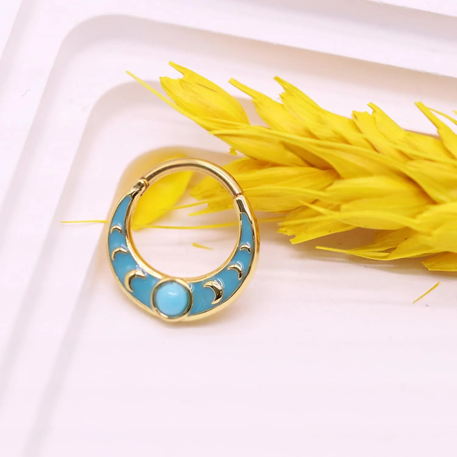 16G 316L Colorful Septum Rings Hoop 8mm/10mm Stainless Steel Segment Nose Rings Cartilage Clicker Hoop Earrings for Rook, Daith, Tragus for Women Men