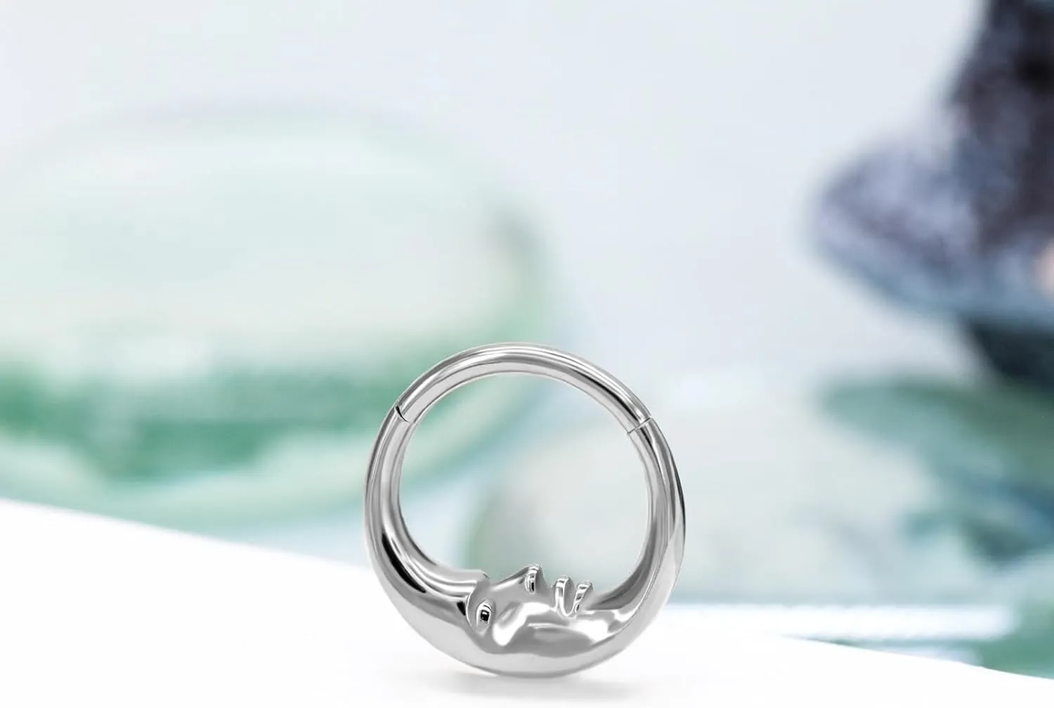 316L Stainless Steel Septum Rings, Segment Nose Rings for Women Men, Cartilage Clicker Earrings Hoop for Helix, Rook, Daith, Tragus Piercing Jewelry