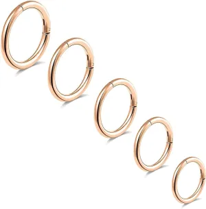 5Pcs G23 Titanium Nose Rings 16G/18G/20G Hinged Clicker Segment Nose Rings Hoop Lip Septum rings Multi-Color Tragus Cartilage Sleeper Earrings 6mm 7mm 8mm 9mm 10mm Hypoallergenic Nose Rings for Women Men