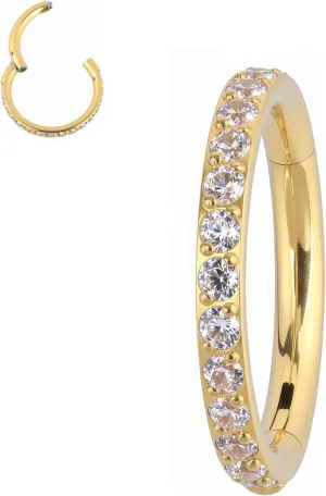 B BodyPJ Sparkles Crystal Pave Hinged Segment Nose Ring,Titanium F136,Cartilage Hoop Earring,Multi-Purpose,1PC