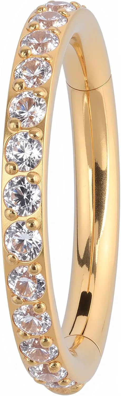 B BodyPJ Sparkles Crystal Pave Hinged Segment Nose Ring,Titanium F136,Cartilage Hoop Earring,Multi-Purpose,1PC