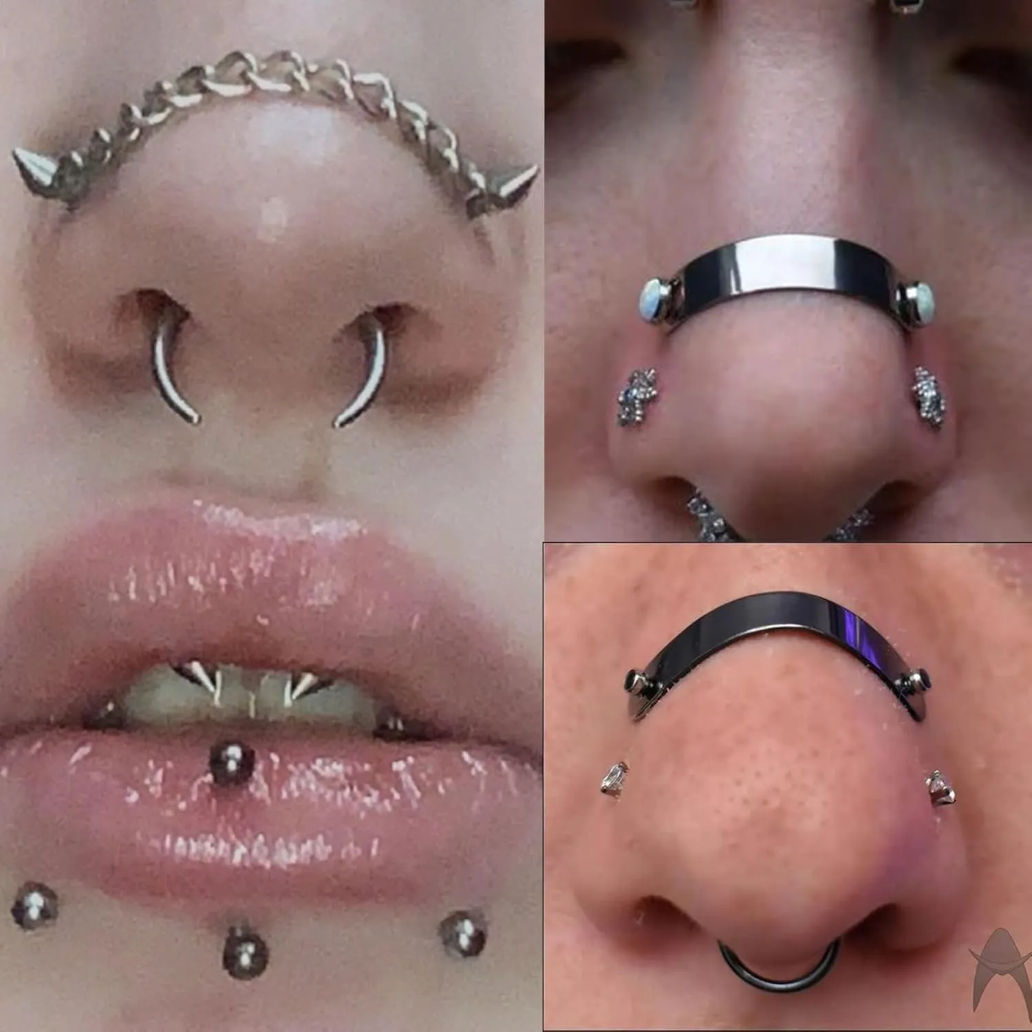 Nose Chain Spike Nose Rings Studs Surgical Steel Across Top Nose Piercing Jewelry Nostril Chain for Women Men Double Nose Piercing Nostril Bridge Jewelry, Black Silver